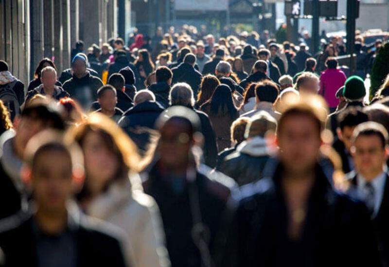 Bəşəriyyət sürətlə əqli geriləmə yaşayır