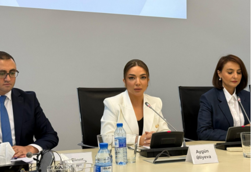 Son 4 ildə QHT-lərin təşəbbüslərinin dəstəklənməsinə 22 milyon manata yaxın vəsait ayrılıb