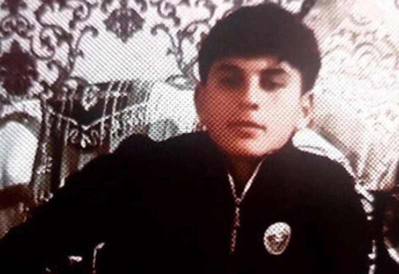 Bataqlıqda boğulan atı xilas etdi, özü dünyasını dəyişdi