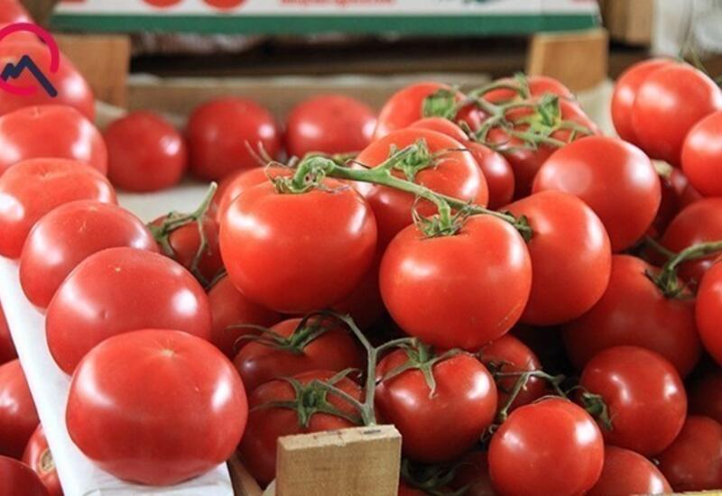 Bu ölkədən gətirilən pomidorlarda virus aşkarlandı