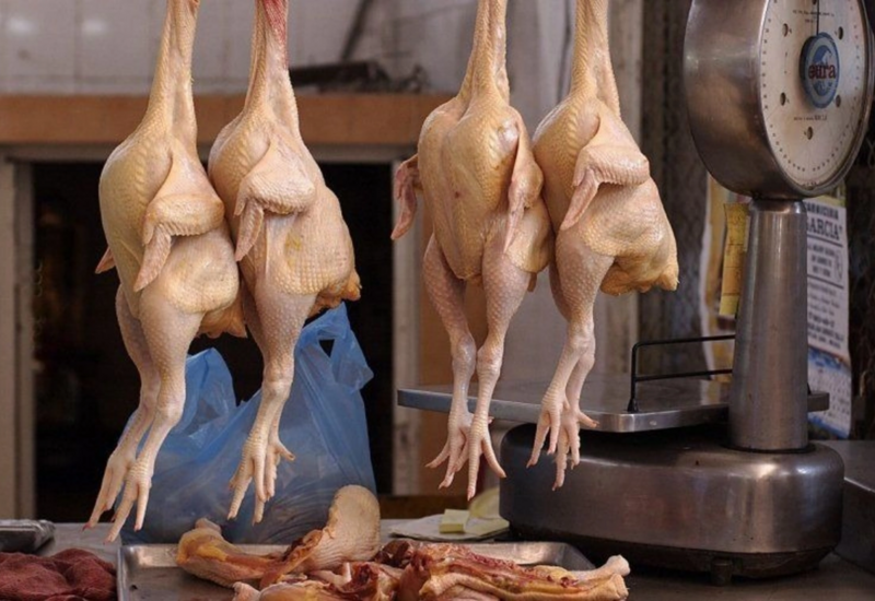 “Kənd toyuğudur” adı ilə belə