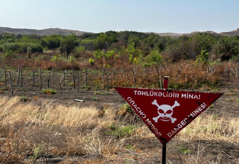 ANAMA-nın əməkdaşı Qazaxda minaya düşüb