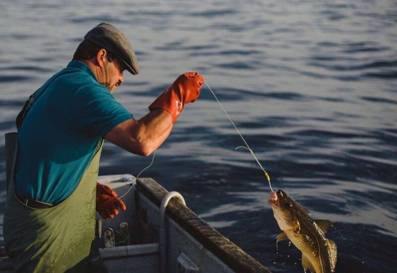 Azərbaycanda yeni qadağa qüvvəyə mindi