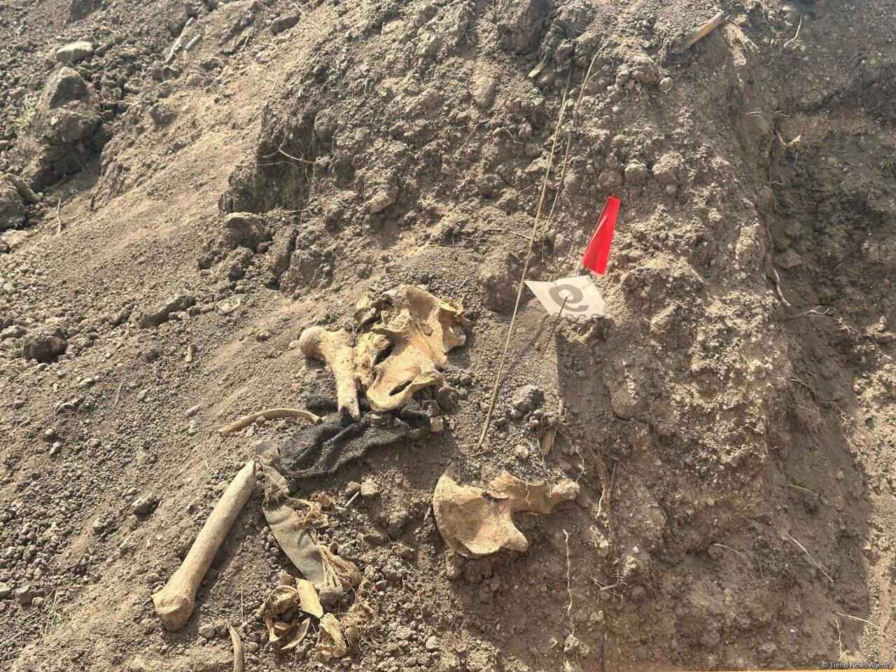 Еще одно массовое захоронение нашли в Ходжалы