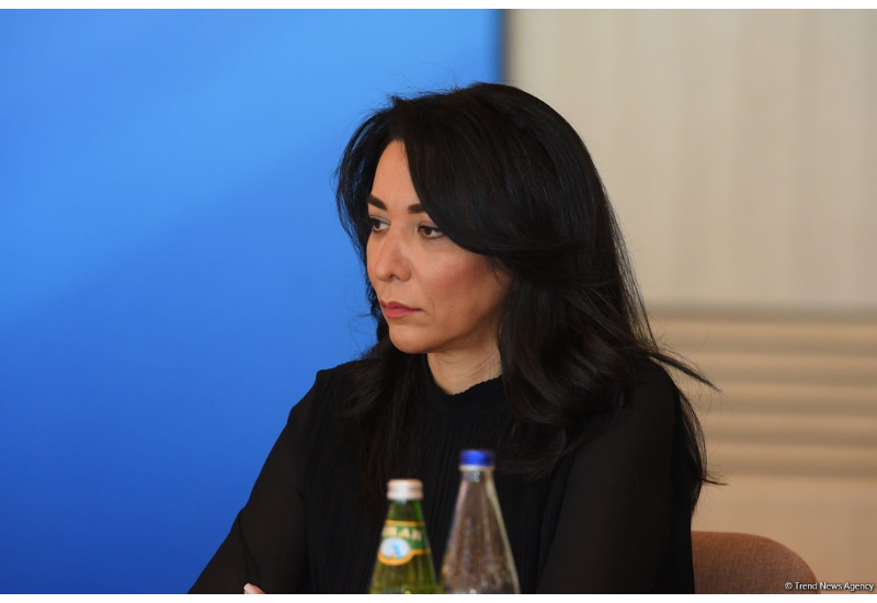 Сабина Алиева указала на важность роли медиа в правовом просвещении общества