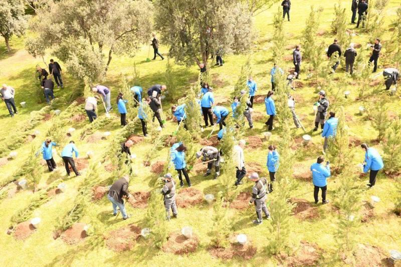 В Баку организована очередная акция по посадке деревьев