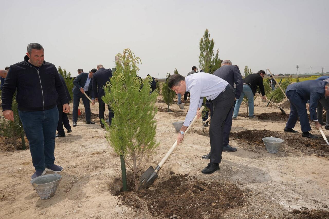 Ümummilli lider Heydər Əliyevin doğum günü münasibətilə ağacəkmə tədbiri keçirilib