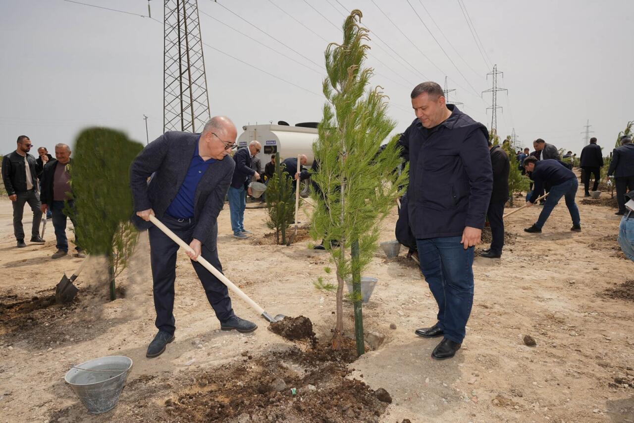 Ümummilli lider Heydər Əliyevin doğum günü münasibətilə ağacəkmə tədbiri keçirilib