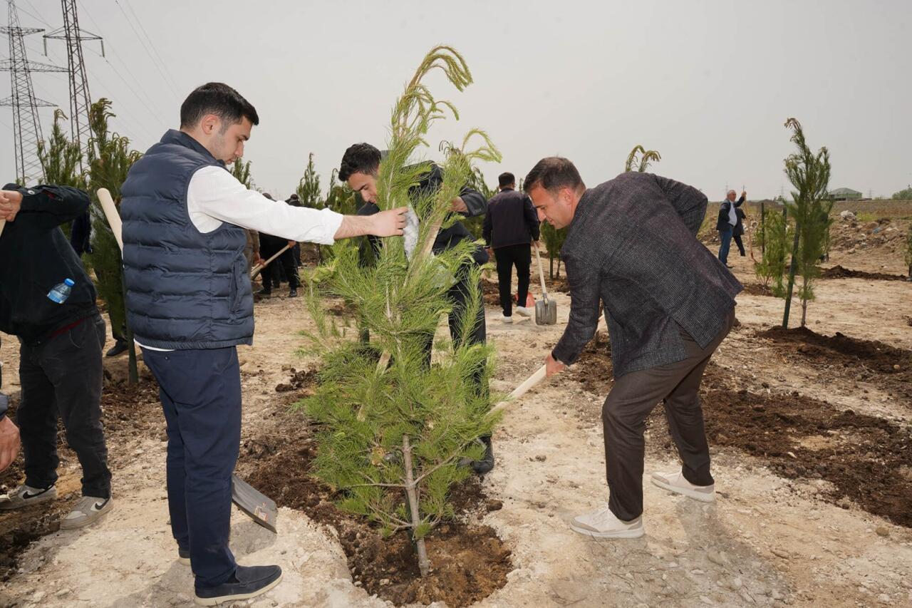 Ümummilli lider Heydər Əliyevin doğum günü münasibətilə ağacəkmə tədbiri keçirilib