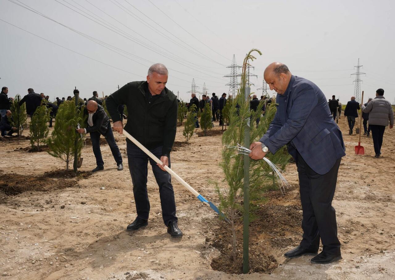 Ümummilli lider Heydər Əliyevin doğum günü münasibətilə ağacəkmə tədbiri keçirilib