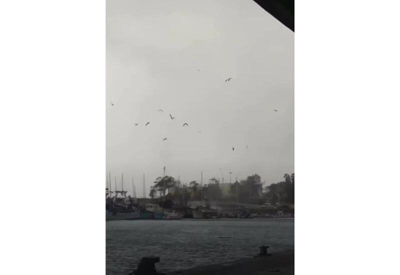 Водяной смерч перевернул лодку в Португалии