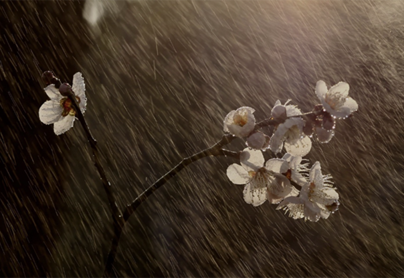 В районах Азербайджана ожидаются дожди