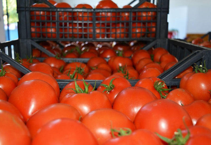 "Vasmoy" bazarında qəribə fırıldaq