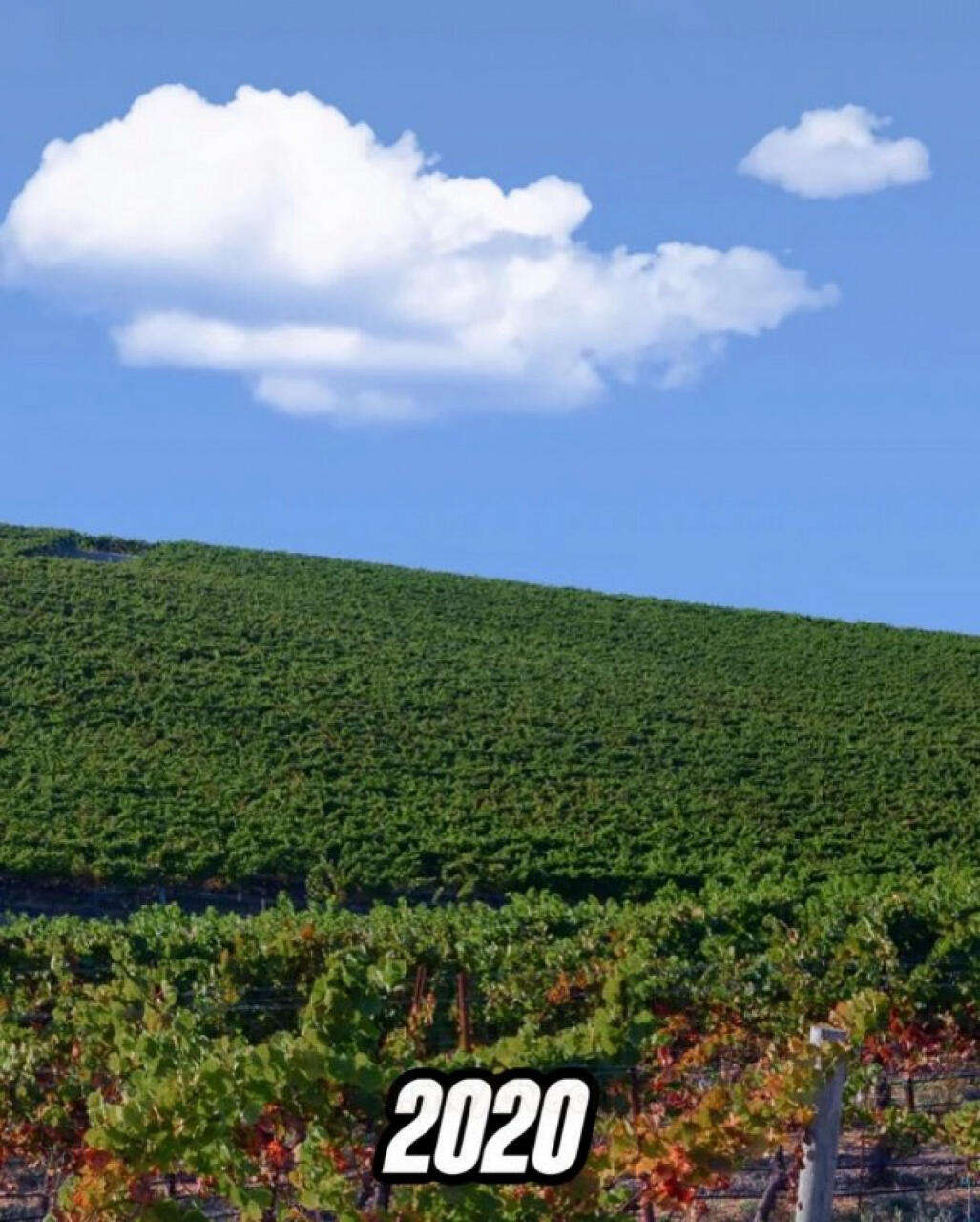 Знаменитый холм из обоев Windows XP изменился до неузнаваемости