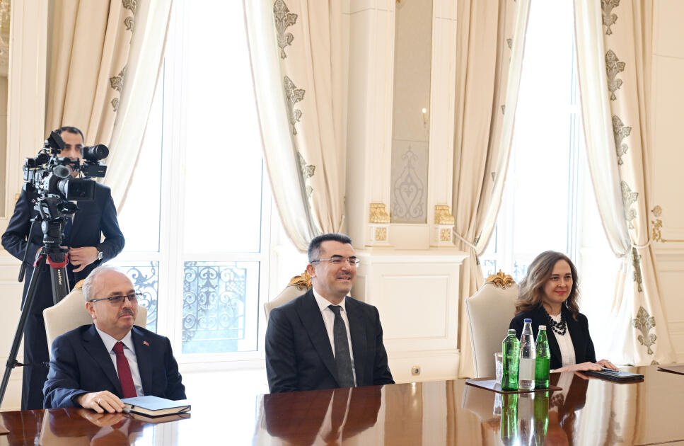 Президент Ильхам Алиев принял генерального секретаря Совета национальной безопасности Турции