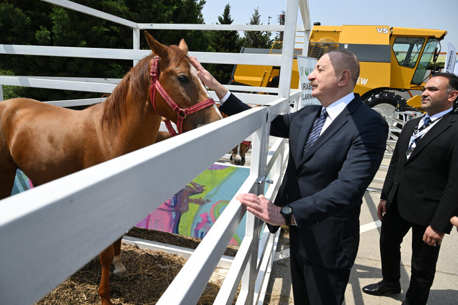 Prezident İlham Əliyev “InterFood Azerbaijan” və “Caspian Agro” sərgiləri ilə tanış olub