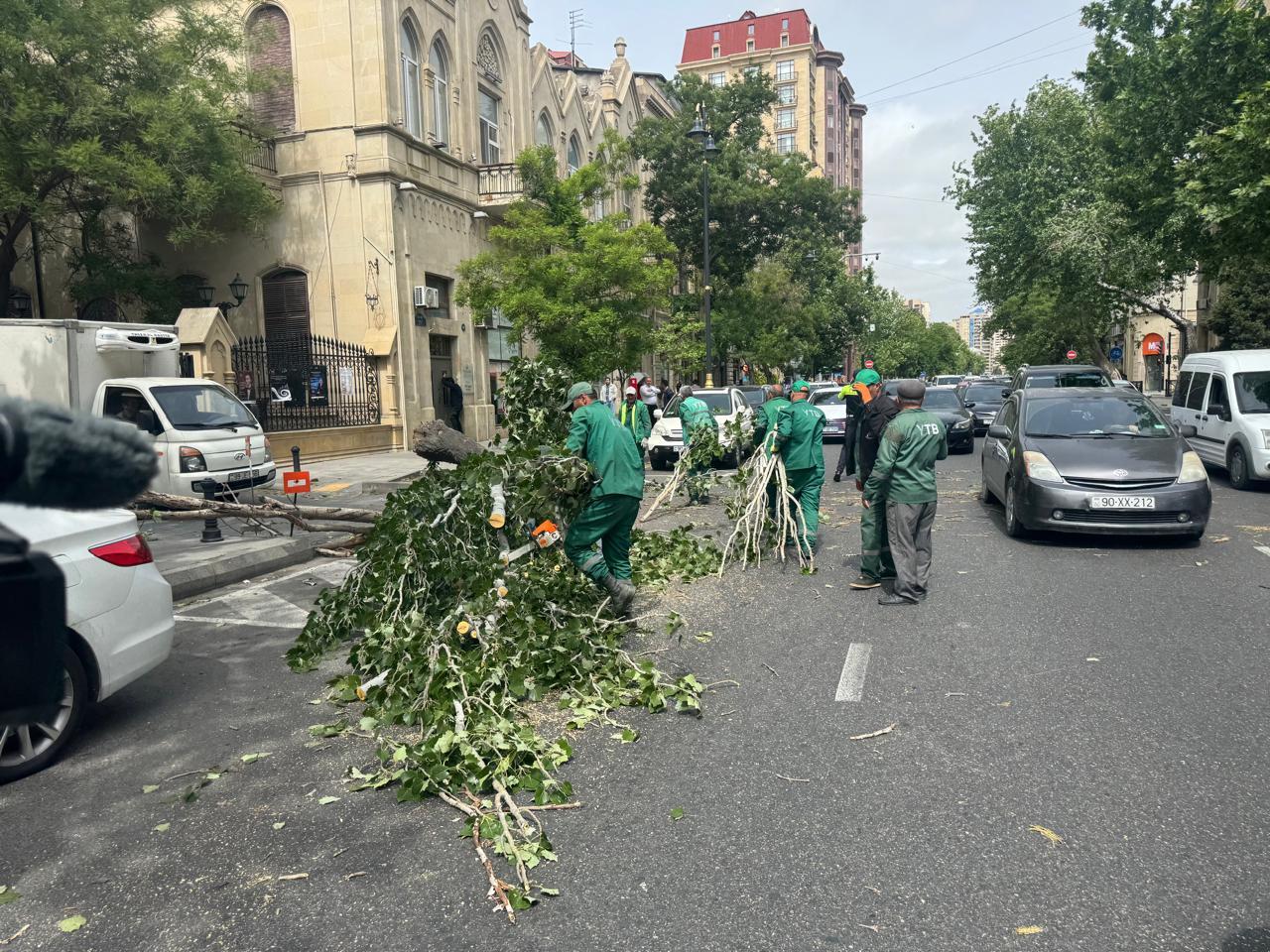 Şəhərin mərkəzində ağac hərəkətdə olan maşınların üstünə aşdı