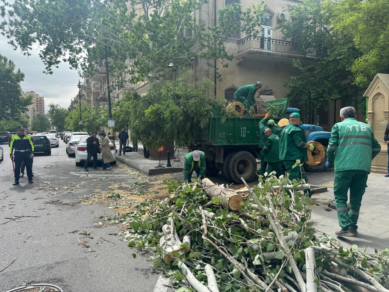 Şəhərin mərkəzində ağac hərəkətdə olan maşınların üstünə aşdı