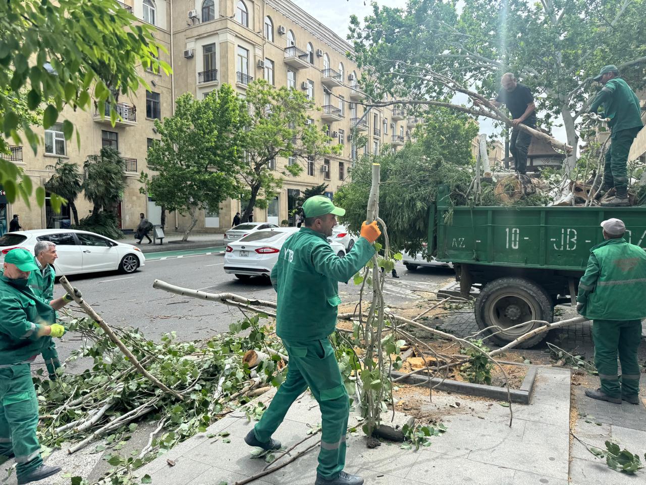Şəhərin mərkəzində ağac hərəkətdə olan maşınların üstünə aşdı