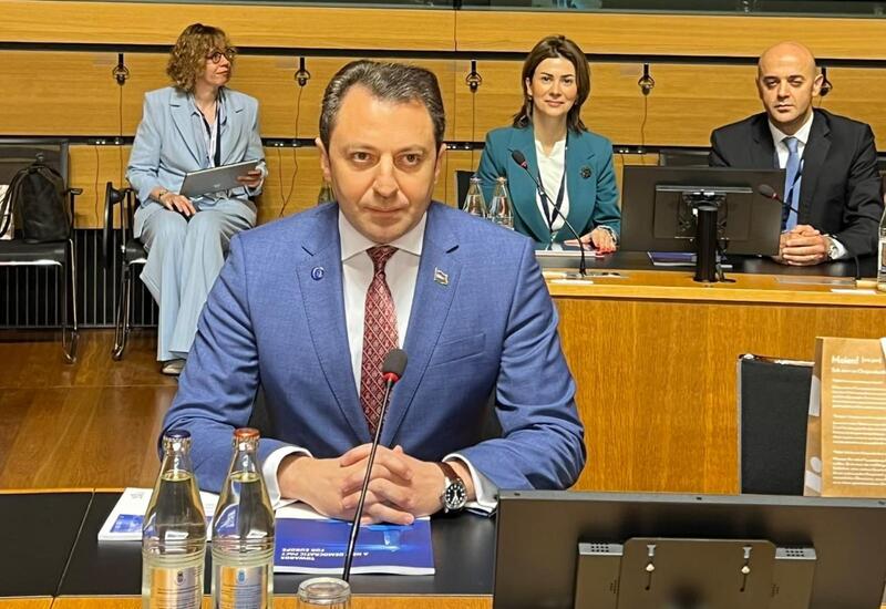 Assambleyada Azərbaycanın qeyd-şərtsiz iştirakının bərpası tezliklə həll edilməlidir