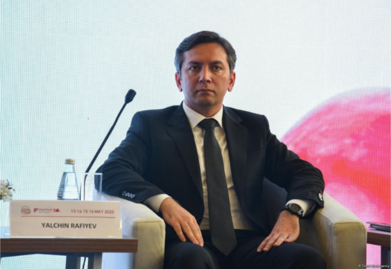 COP29-da 300 milyard iqlim hədəfinə nail olunması Azərbaycanın müstəqil siyasət yeritməsinə etimaddan qaynaqlanır