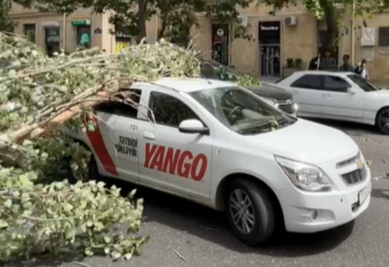 Şəhərin mərkəzində ağac hərəkətdə olan maşınların üstünə aşdı