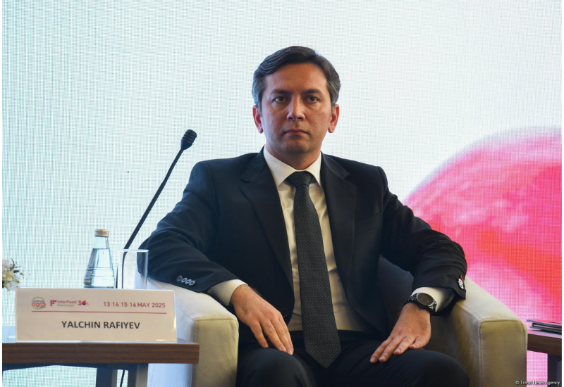 Ялчин Рафиев назвал главный фактор достижения климатического финансирования в $300 млрд на COP29