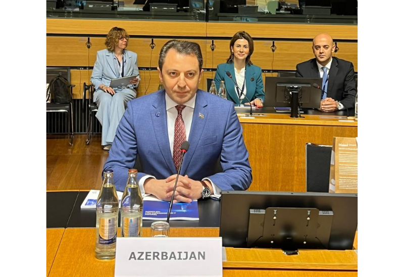 На сессии Совета Европы обсуждены мирные инициативы Азербайджана