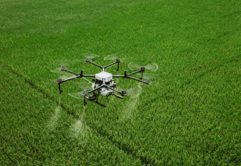 Azərbaycanda kənd təsərrüfatı təyinatlı dronlar istehsal olunacaq