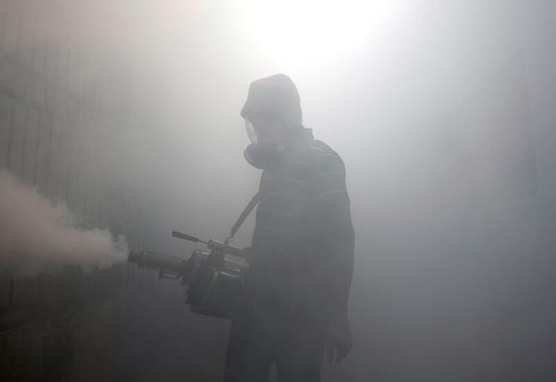 Опасные вирусы добрались до Европы