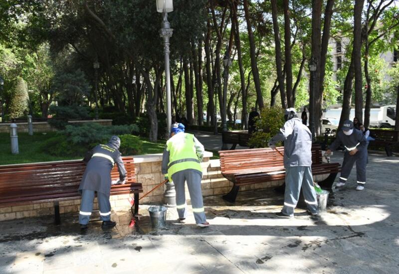 Paytaxtda növbəti genişmiqyaslı təmizlik işləri aparılıb
