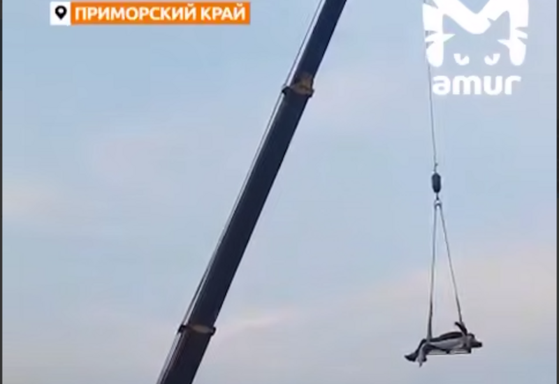 В России крановщик покатал друга на огромной высоте