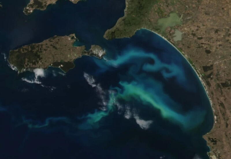 В NASA зафиксировали в океане гигантскую форму жизни