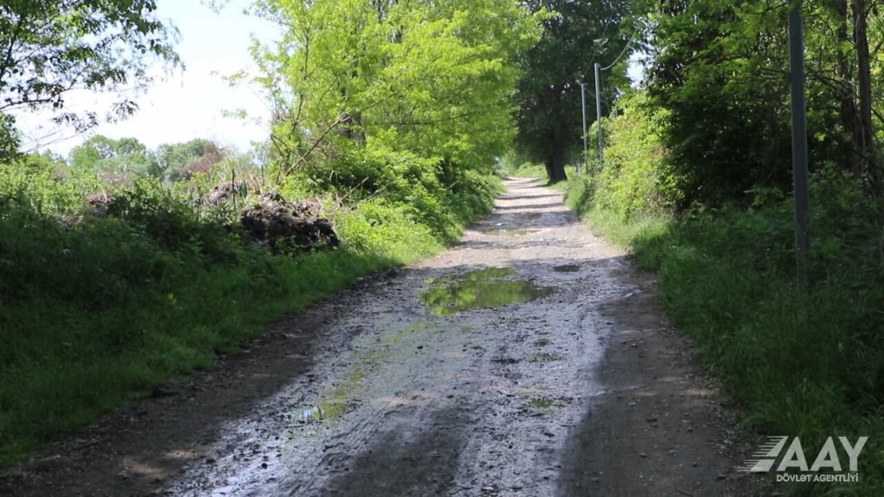 В одном из районов Азербайджана стартовал капремонт важной автодороги