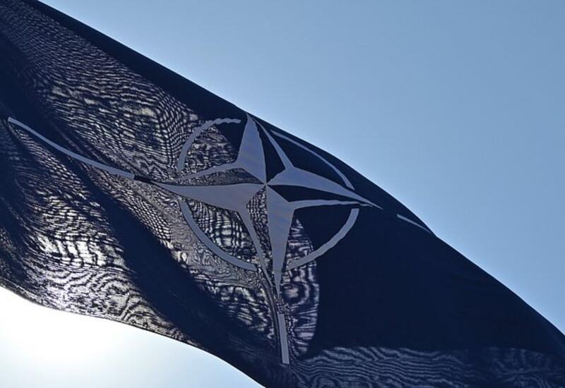В США резко высказались о НАТО