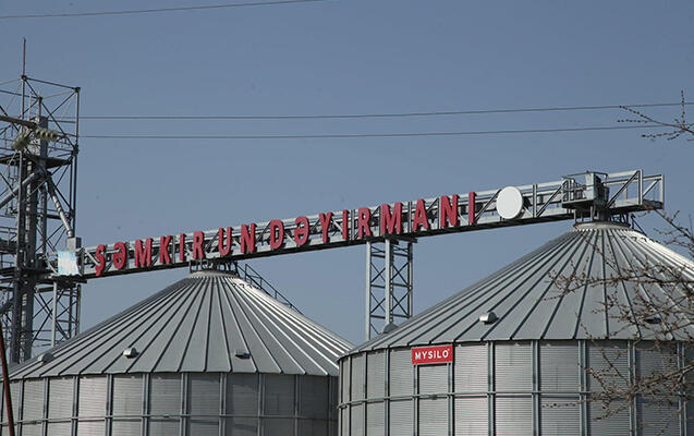 Şəmkirdə milyonluq yeyinti