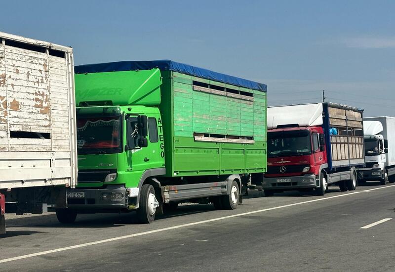 Очередная группа бывших вынужденных переселенцев отправлена в Ходжалы