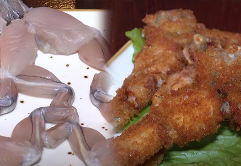 Bakıda məşhurlaşan qurbağa əti