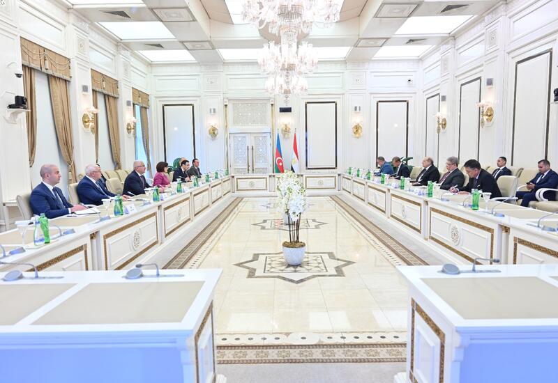Азербайджан и Египет обсудили межпарламентские отношения
