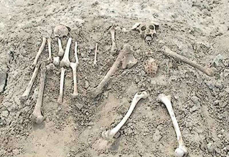 Baş Prokurorluqdan insan skeletinə bənzər sümüklərlə bağlı