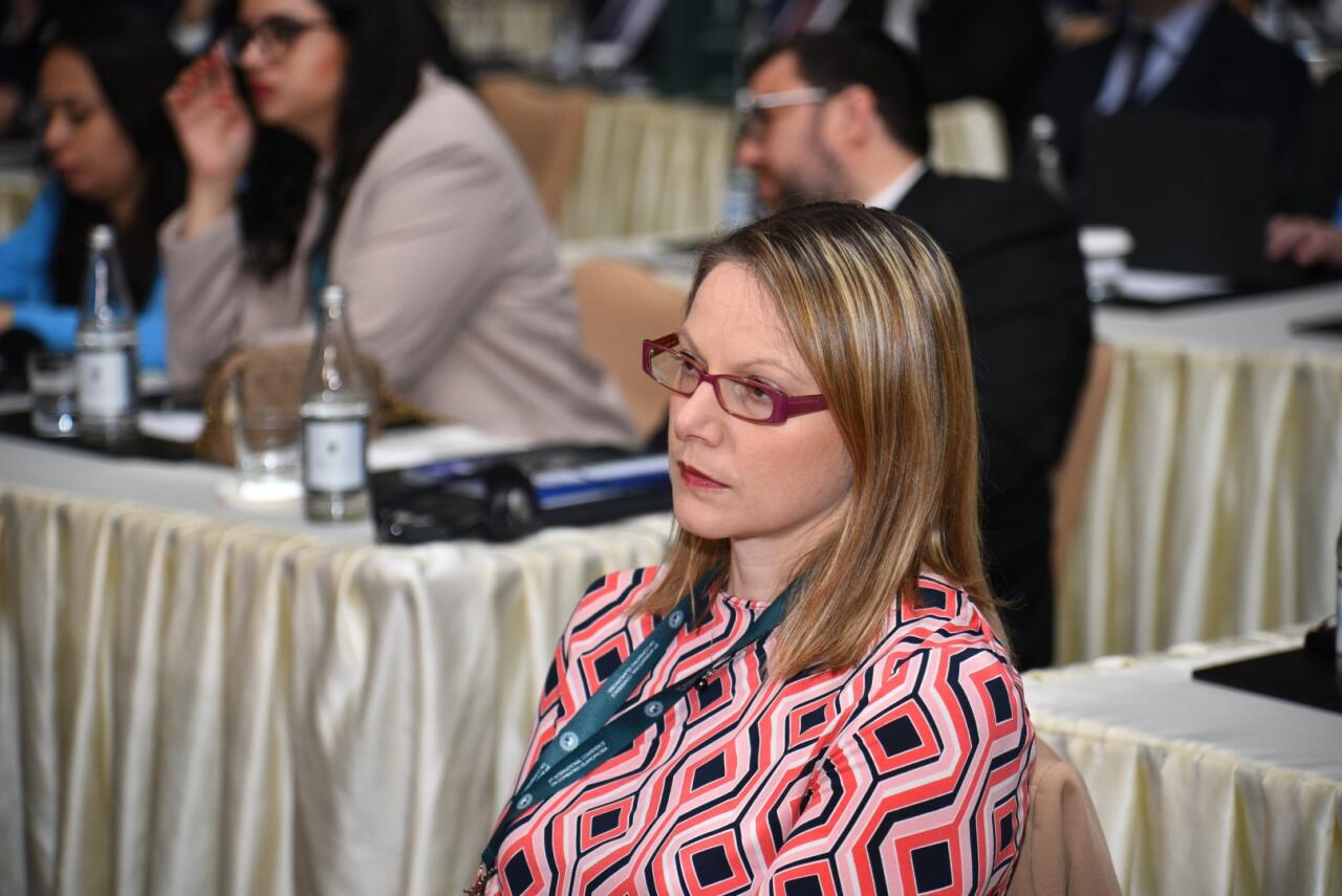 Bakıda “İslamofobiya diqqət mərkəzində: Qərəzin ifşası, stiqmaların dağıdılması” mövzusunda beynəlxalq konfransın birinci günü başa çatıb