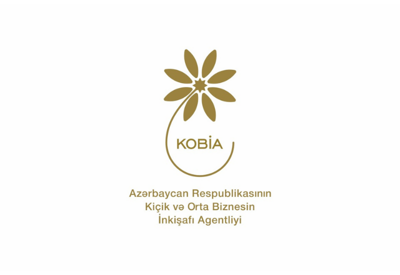 Regionlarda sahibkarlıq fəaliyyəti üçün imkanlar - KOB evləri, KOB dostları, KOB inkişaf mərkəzləri
