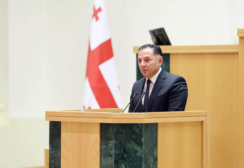 Gürcüstanın daxili işlər naziri istefa