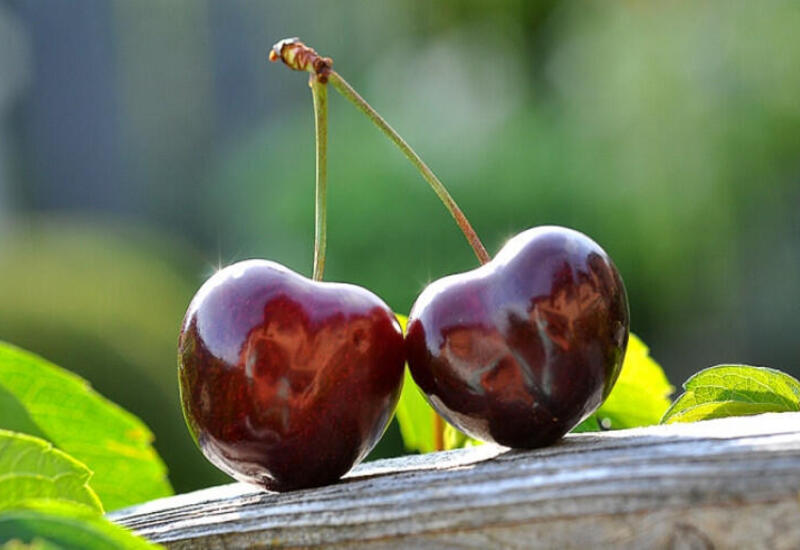 Gündə nə qədər gilas yemək olar?
