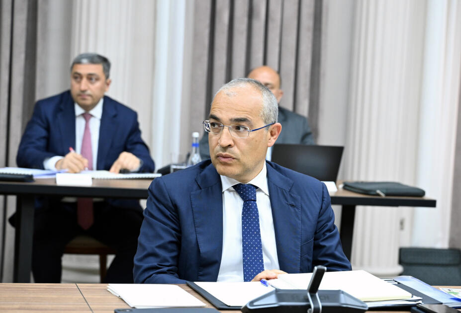 İqtisadi Şuranın növbəti iclası keçirilib
