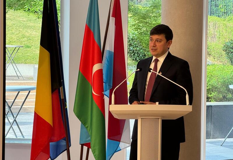 Belçika azərbaycanlıları ilə görüş keçirilib