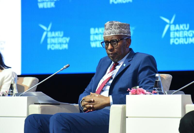 Somali "yaşıl" enerji sahəsində Azərbaycanla əməkdaşlığı genişləndirmək niyyətindədir