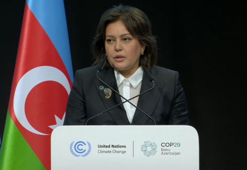 Azərbaycan şəhərlərin inkişafı və iqlimlə bağlı həlləri təşviq etmək niyyətindədir