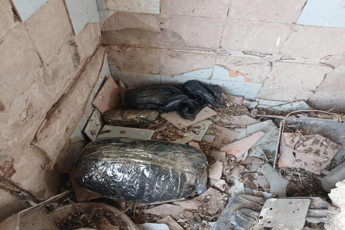 Операция по борьбе с наркотиками в Сальяне
