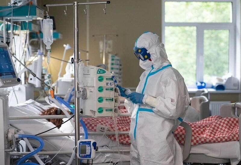 Учёные из США обнаружили новую особенность вируса птичьего гриппа